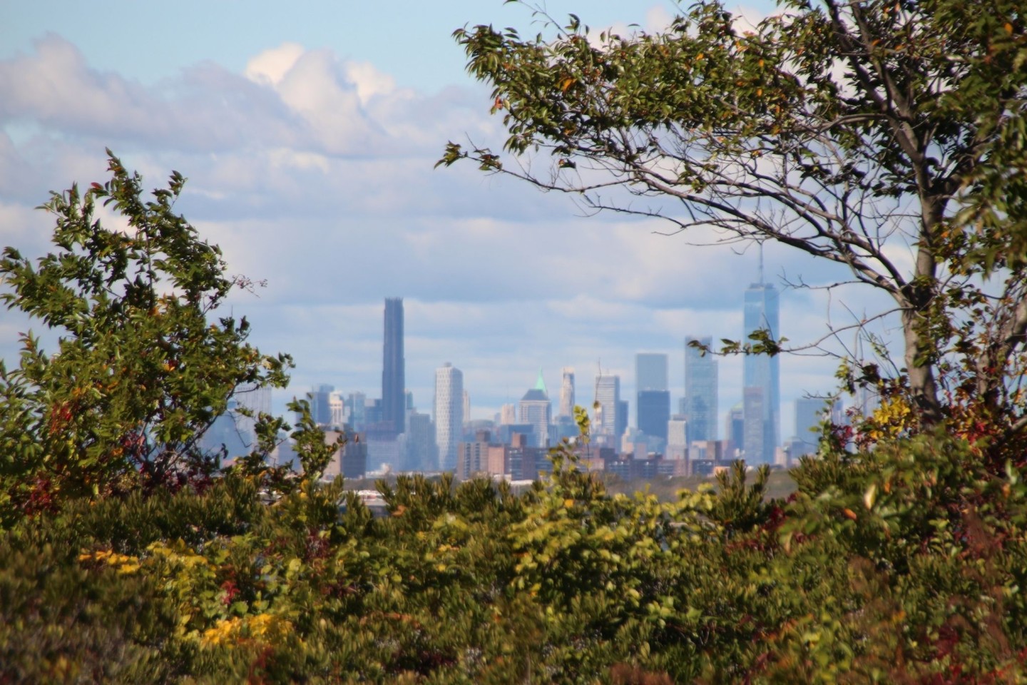 Die Skyline von Manhattan, im Vordergrund das Naturschutzgebiet Jamaica Bay Wildlife Refuge.