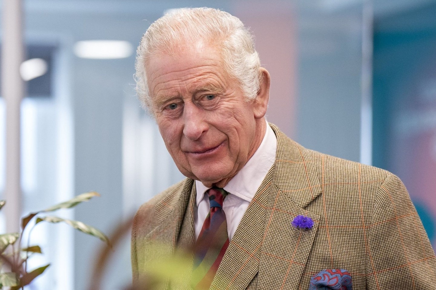 Charles III. ist in einer Londoner Klinik.