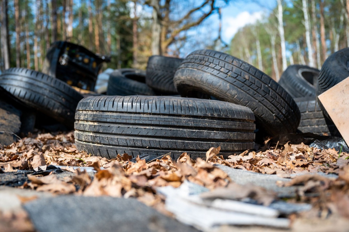 Illegal entsorgter Müll im Wald ist aus Sicht von Umweltschützern ein Problem - gelöst ist es längst noch nicht (Symbolbild).