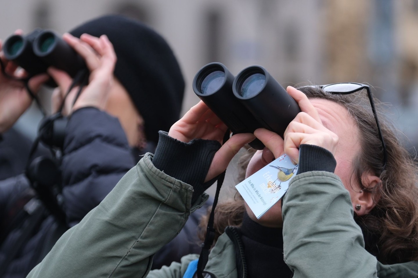 Bei der «Stunde der Wintervögel» können Bürgerinnen und Bürger wieder eine Stunde lang Vögel beobachten.