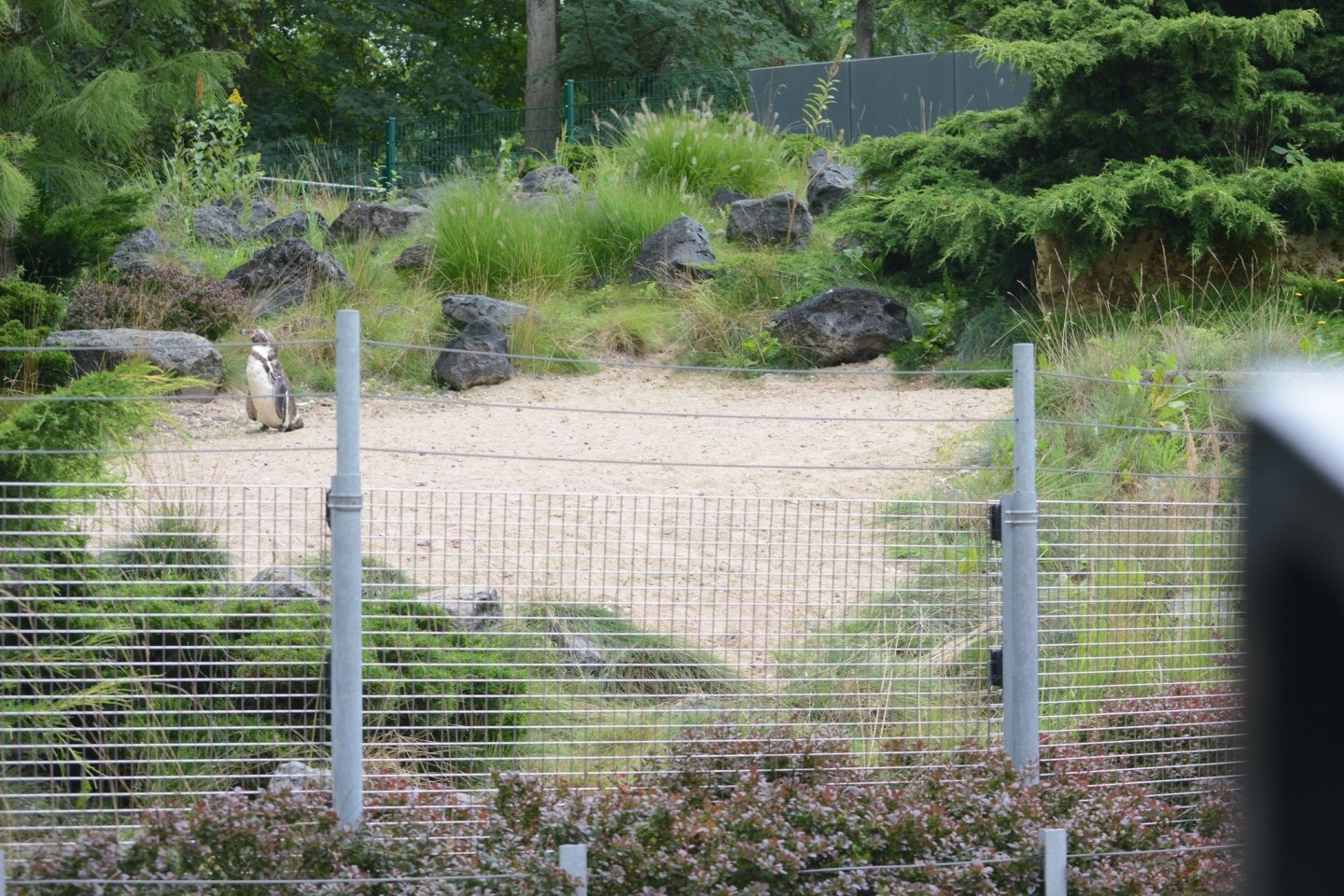 Das Pinguin-Gehege im Zoo von Rostock.