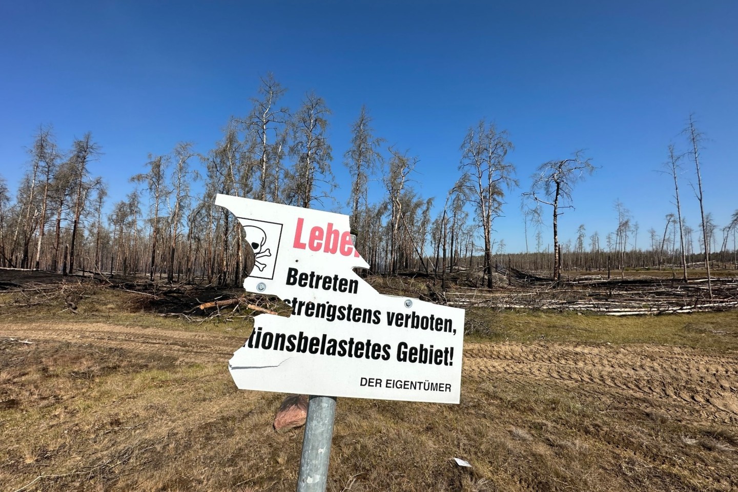 Beschädigt ist ein Warnschild am mit Munition belasteten Waldbrandgebiet bei Lübtheen. Der Waldbrand ist unter Kontrolle.