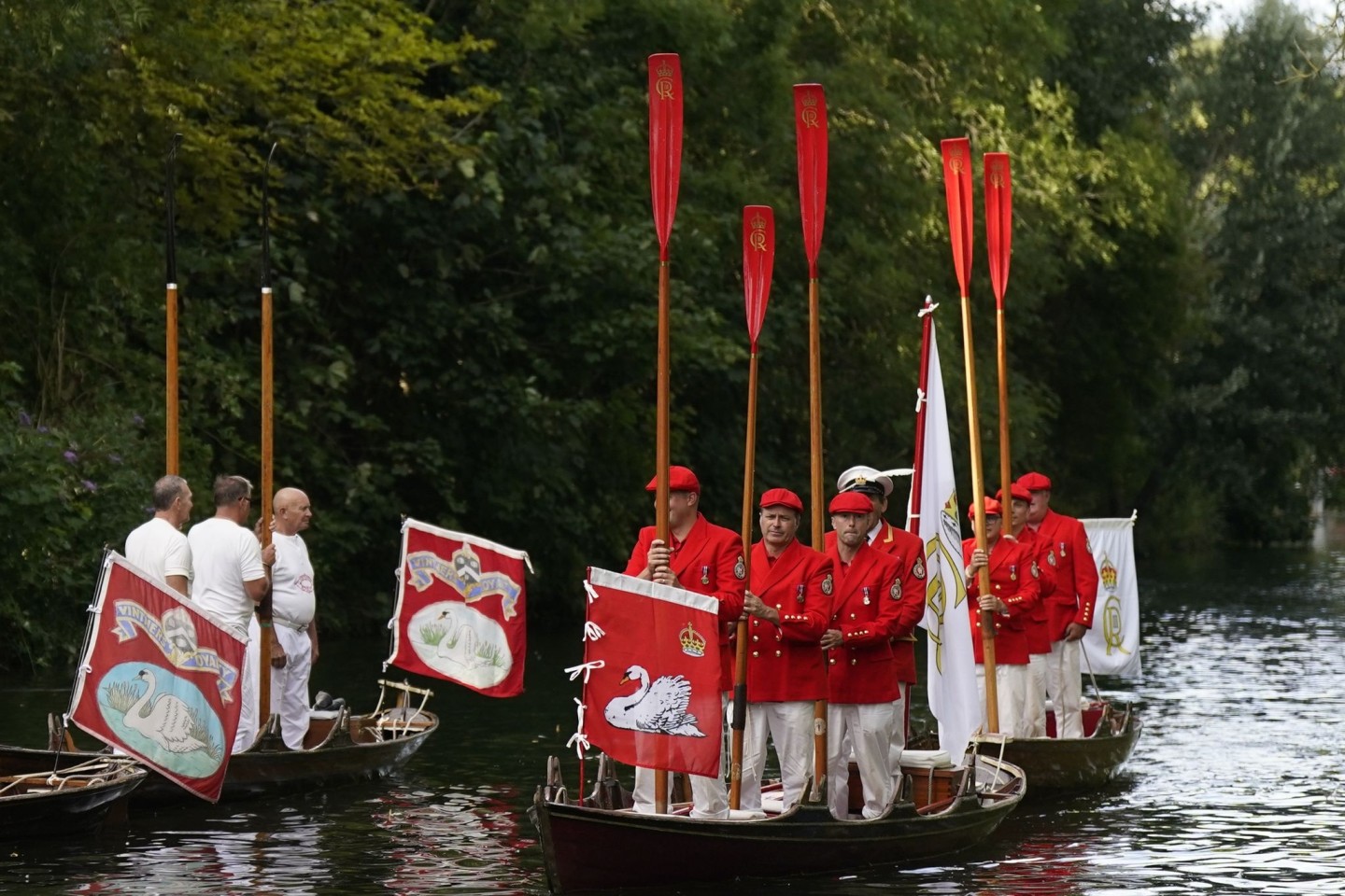 Die Tradition des «Swan Upping» reicht mehrere Jahrhunderte zurück.